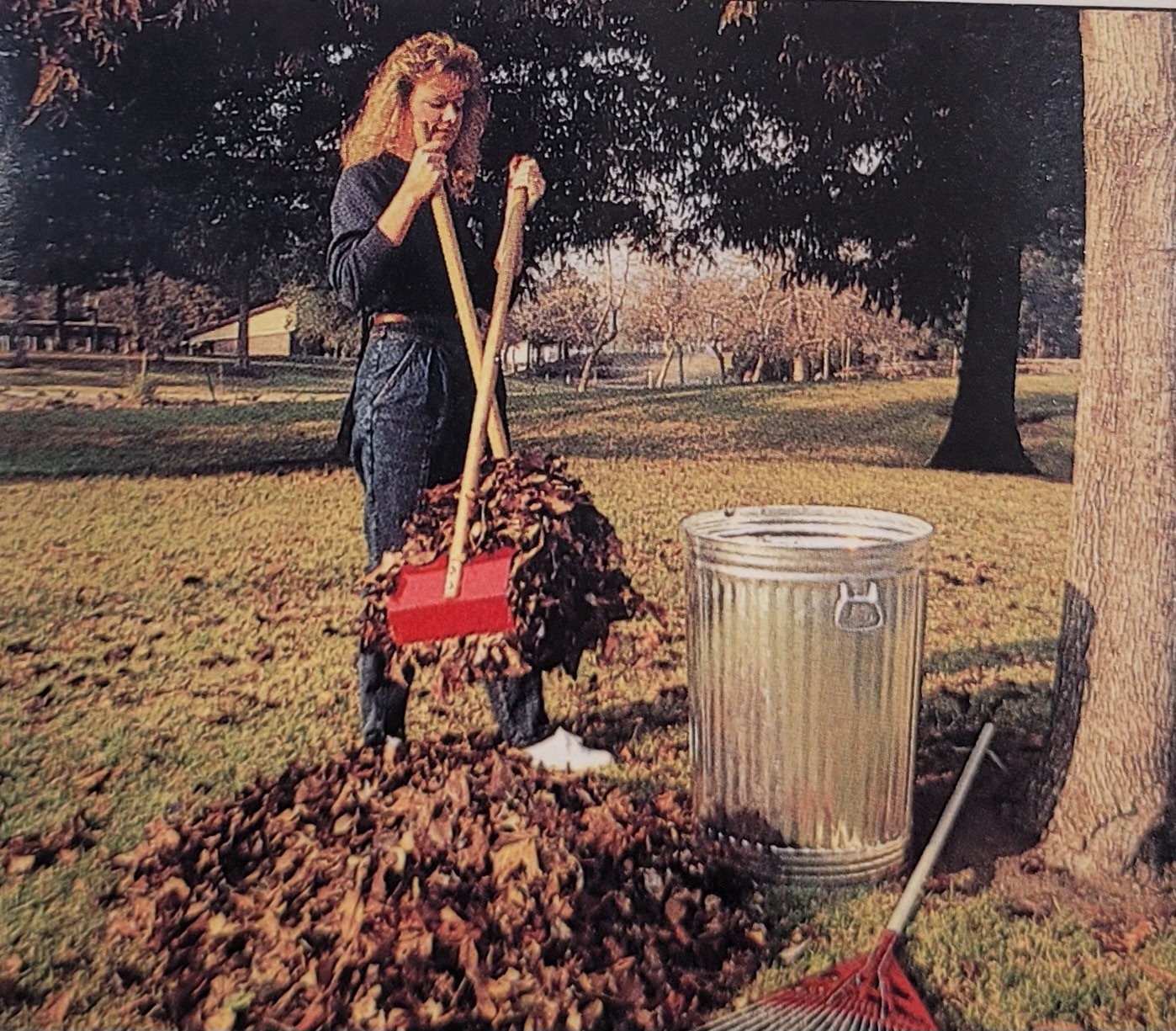 TerraBOSS lifting a huge armful of leaves next to a trash can